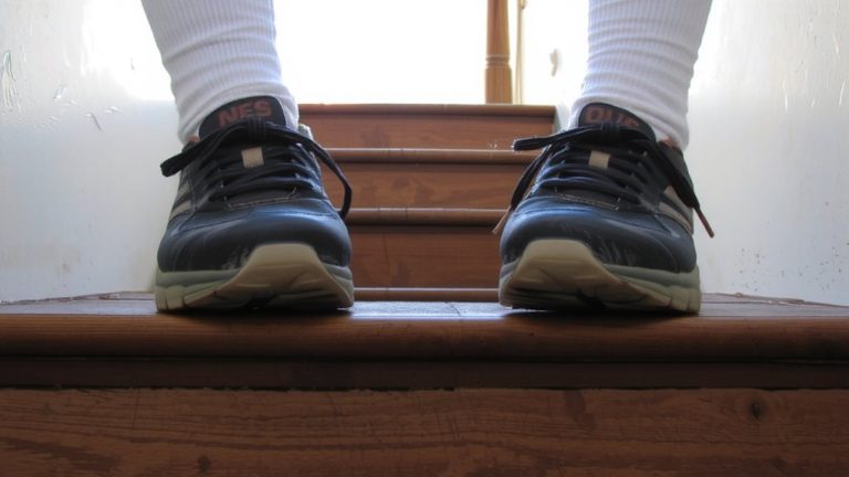daily step calf raises