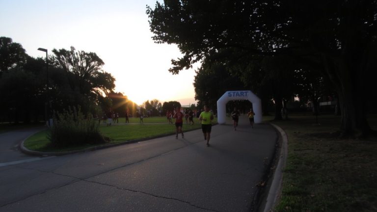 top beginner 50k races