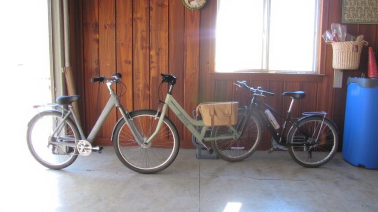 top bike brands beginners